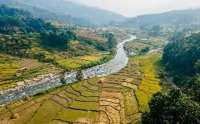 Aerial View Of Paddy Farmland In Nuwakot, Nepal