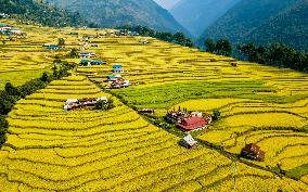 Aerial View Of Paddy Farmland In Nuwakot, Nepal