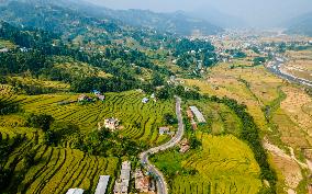 Aerial View Of Paddy Farmland In Nuwakot, Nepal