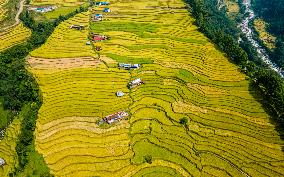 Aerial View Of Paddy Farmland In Nuwakot, Nepal