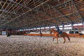 Tori Horse Breeding Farm