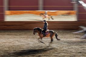 Tori Horse Breeding Farm