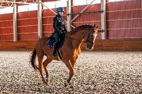 Tori Horse Breeding Farm