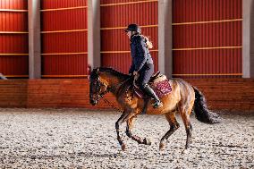 Tori Horse Breeding Farm