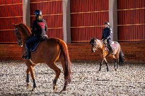 Tori Horse Breeding Farm