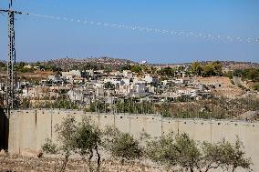 Palestinian Family Picks Olives - West Bank