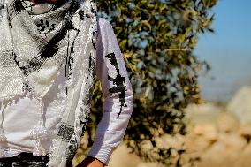 Palestinian Family Picks Olives - West Bank