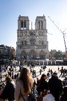 Illustration Notre Dame de Paris - France