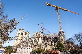 Illustration Notre Dame de Paris - France