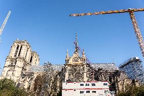 Illustration Notre Dame de Paris - France