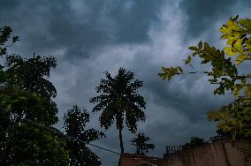 Cyclone Dana - Severe Cyclonic Storm