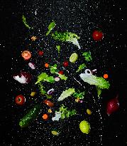 Go Green. Deconstructed Garden Salad Ingredients Floating On Black Background