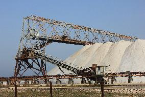 Salt Harvesting Facility At Margherita Di Savoia