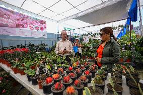 Floral Expo Kick Starts In Nepal Ahead Of The Festive Season Of Tihar