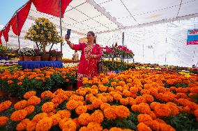 Floral Expo Kick Starts In Nepal Ahead Of The Festive Season Of Tihar