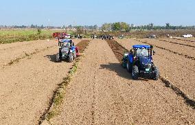 Wheat Sowing in Binzhou