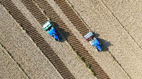 Wheat Sowing in Binzhou