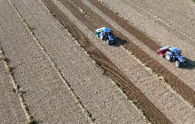 Wheat Sowing in Binzhou