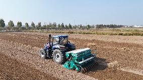 Wheat Sowing in Binzhou