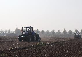 Wheat Sowing in Binzhou