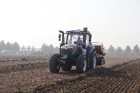 Wheat Sowing in Binzhou