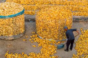 Villagers Dry Corn in Qingdao