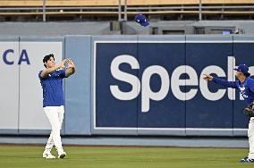 Baseball: MLB World Series