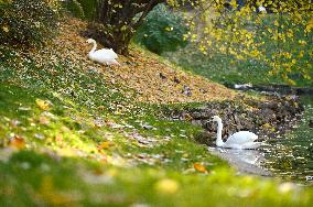 Stryiskyi Park in Lviv