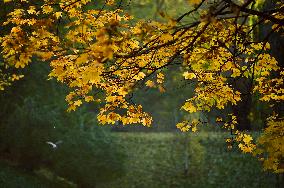 Stryiskyi Park in Lviv