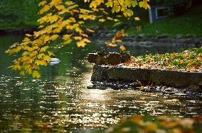 Stryiskyi Park in Lviv