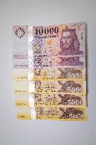 Hungarian Forint Banknotes