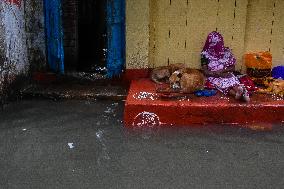 Effects Of Cyclone Dana In India.