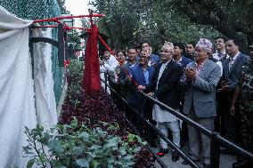 Nepal Keeps Captured Snow Leopard In Display At Central Zoo