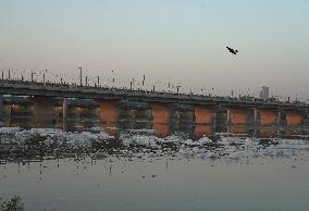 Toxic Foam Covers India's Yamuna River