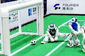 Qingdao International RoboCup 2024