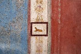 Tiny House With Erotic Frescoes Uncovered - Pompeii