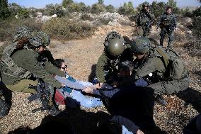 Israeli forces disperse activists who volunteer to pick olives with Palestinians in Bethlehem