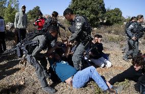 Israeli forces disperse activists who volunteer to pick olives with Palestinians in Bethlehem