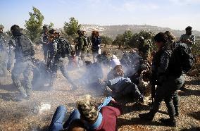 Israeli forces disperse activists who volunteer to pick olives with Palestinians in Bethlehem