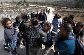 Israeli forces disperse activists who volunteer to pick olives with Palestinians in Bethlehem