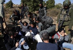 Israeli forces disperse activists who volunteer to pick olives with Palestinians in Bethlehem