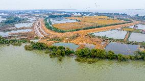 Hongze Lake Water Conservancy Project Construction in Suqian