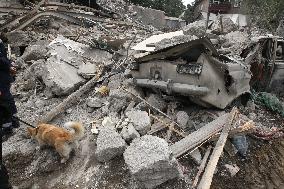 SAR dogs at work after Russian missile attack on Dnipro