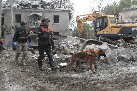 SAR dogs at work after Russian missile attack on Dnipro