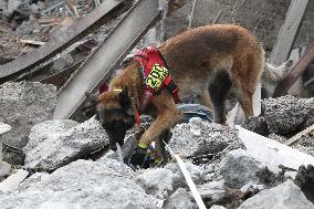 SAR dogs at work after Russian missile attack on Dnipro