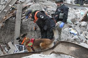 SAR dogs at work after Russian missile attack on Dnipro