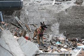 SAR dogs at work after Russian missile attack on Dnipro