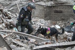 SAR dogs at work after Russian missile attack on Dnipro