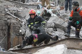 SAR dogs at work after Russian missile attack on Dnipro