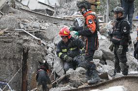 SAR dogs at work after Russian missile attack on Dnipro